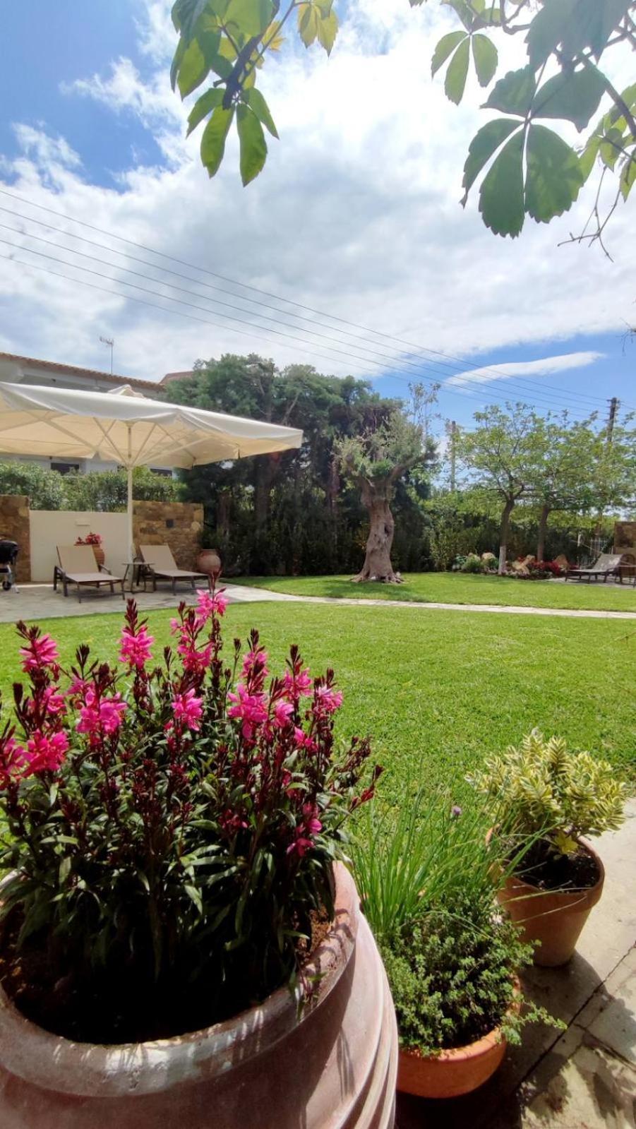 Coel Luxury Suites By Rentalspro Services - Potidea Halkidiki Néa Potídea Kültér fotó